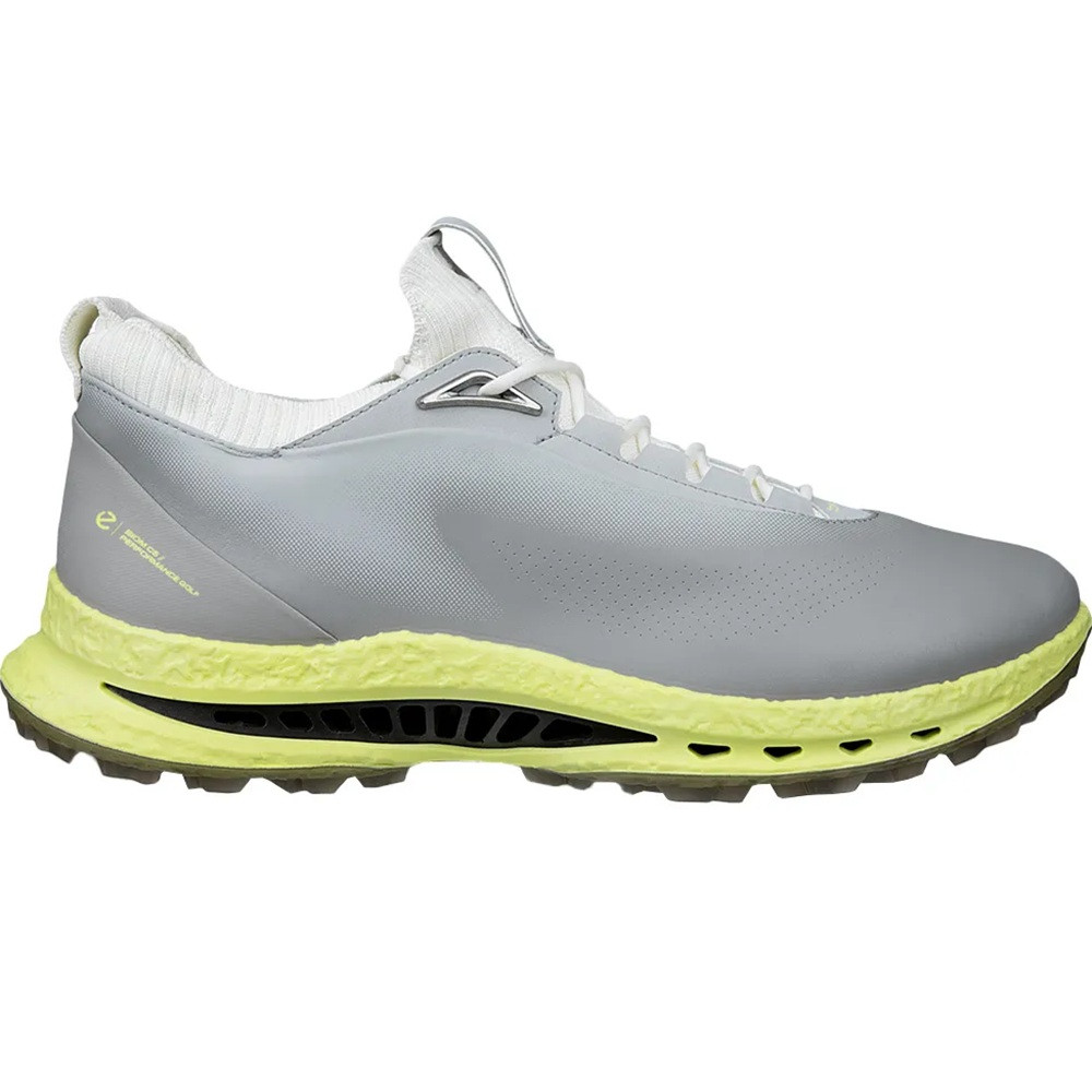 Ecco Men's Biom C5 Golf Shoes - Wild Dove - Maple Hill Golf
